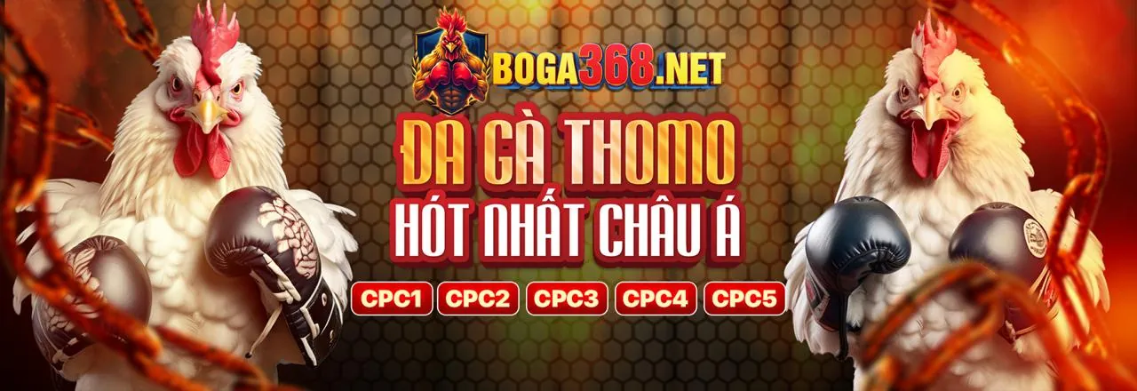 Thu thập và thống kê kết quả xổ số các kỳ