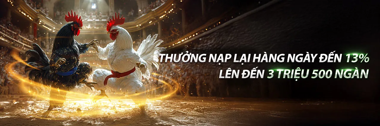 Đấu trường đá gà trực tiếp i win sôi động